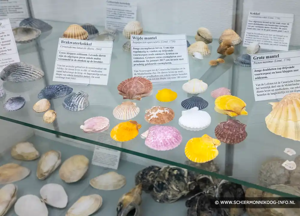 Schelpenmuseum Schiermonnikoog