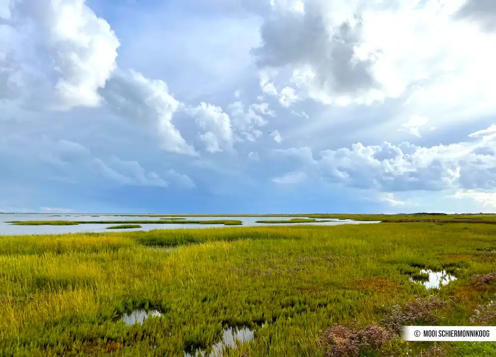 Regenwolken Schiermonnikoog
