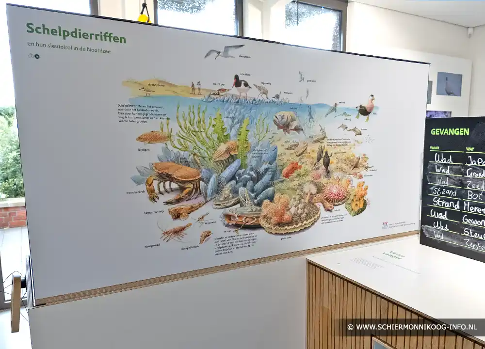 Informatiecentrum Het Baken