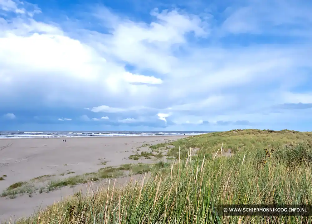 Strand Schiermonnikoog